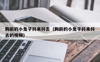 胸前的小兔子抖来抖去（胸前的小兔子抖来抖去的视频）