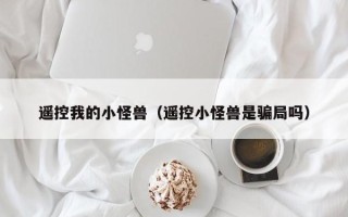 遥控我的小怪兽（遥控小怪兽是骗局吗）