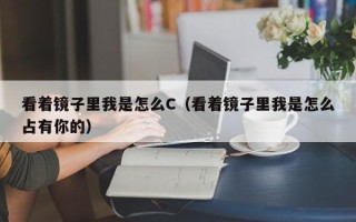 看着镜子里我是怎么C（看着镜子里我是怎么占有你的）