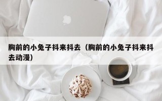 胸前的小兔子抖来抖去（胸前的小兔子抖来抖去动漫）