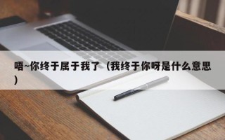 唔~你终于属于我了（我终于你呀是什么意思）