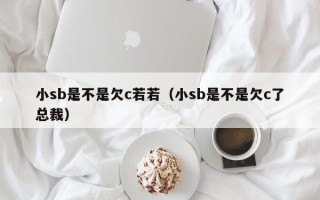 小sb是不是欠c若若（小sb是不是欠c了总裁）