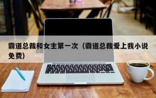 霸道总裁和女主第一次（霸道总裁爱上我小说免费）