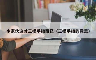 小家伙这才三根手指而已（三根手指的意思）