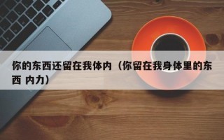 你的东西还留在我体内（你留在我身体里的东西 内力）