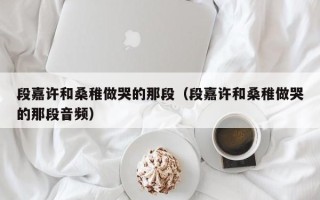 段嘉许和桑稚做哭的那段（段嘉许和桑稚做哭的那段音频）