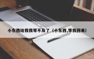 小东西给我我等不及了（小东西,等我回来）