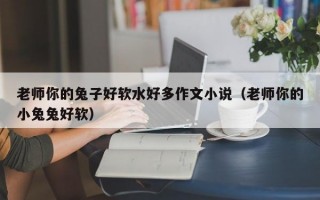 老师你的兔子好软水好多作文小说（老师你的小兔兔好软）